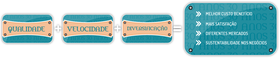 qualidade+velocidade+diversificao=moior custo beneficio::mais satisfao::diferentes mercados::sustentabilidade nos negcios